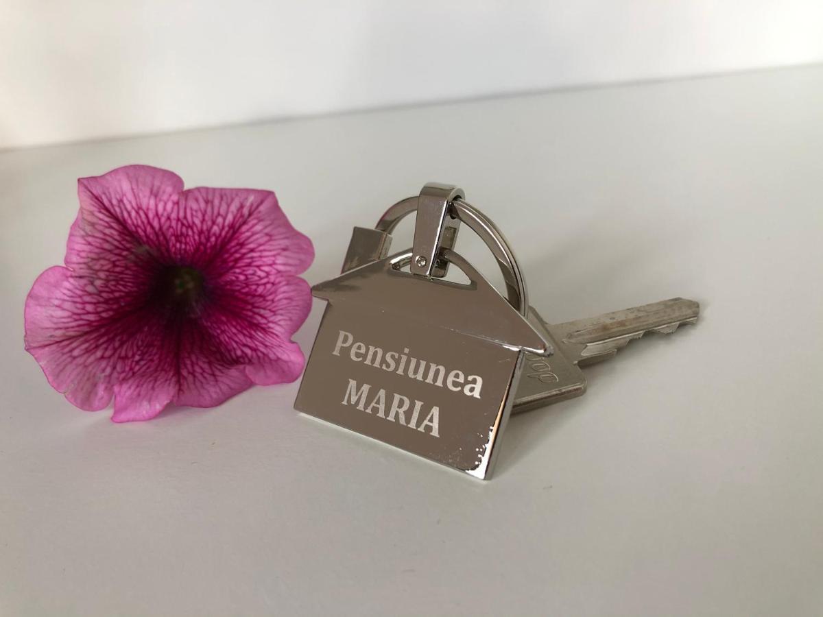 Pensiunea Maria Colibiţa Екстериор снимка